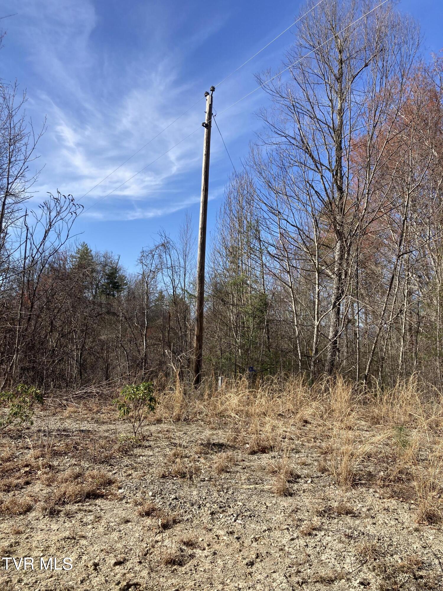 1008 Locust Lane, Unit 38 Butler, TN 37640 - Photo 3 of 11 Lot 38 2