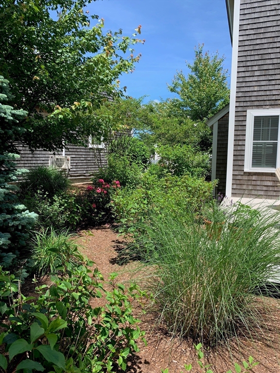 23 Cobblestone Plymouth, MA 02360 - Photo 36 of 39 a view of a garden with plants and large trees