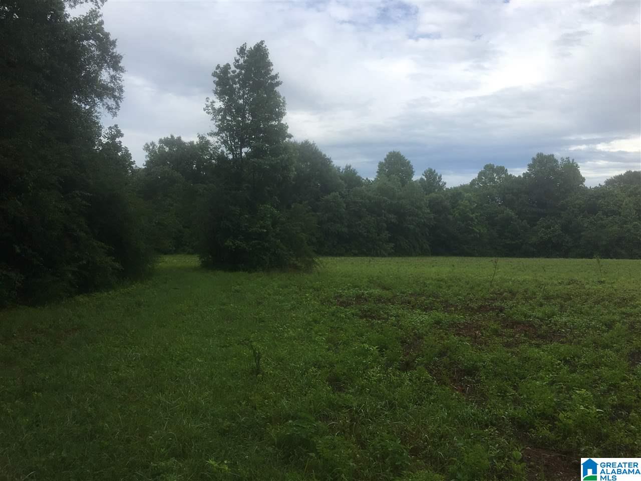 Cold Branch Road, Unit 14 Arab, AL 35016 - Photo 2 of 4