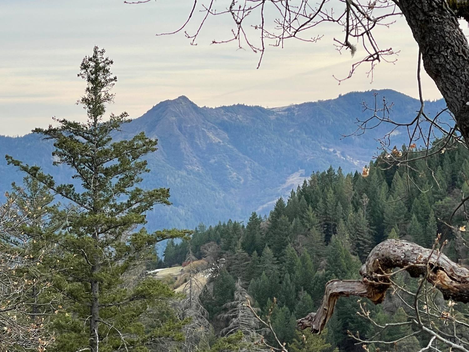 7601 Simmerly Road Laytonville, CA 95454 - Photo 19 of 30 an aerial view of multiple house