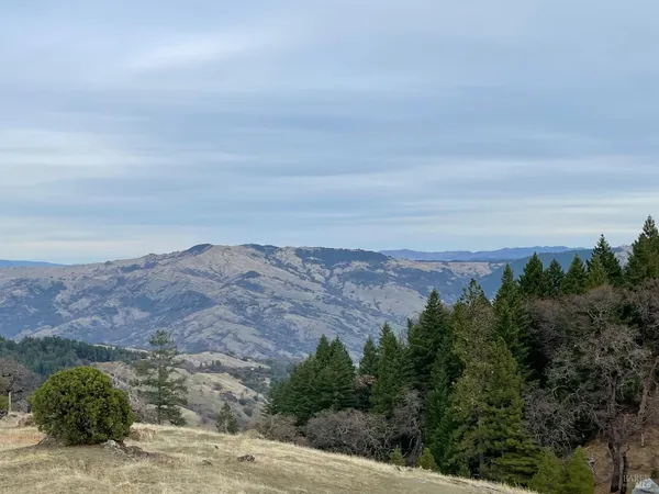 an aerial view of mountain with trees