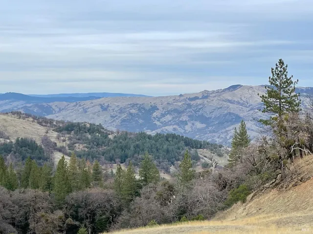 an aerial view of mountain and tree