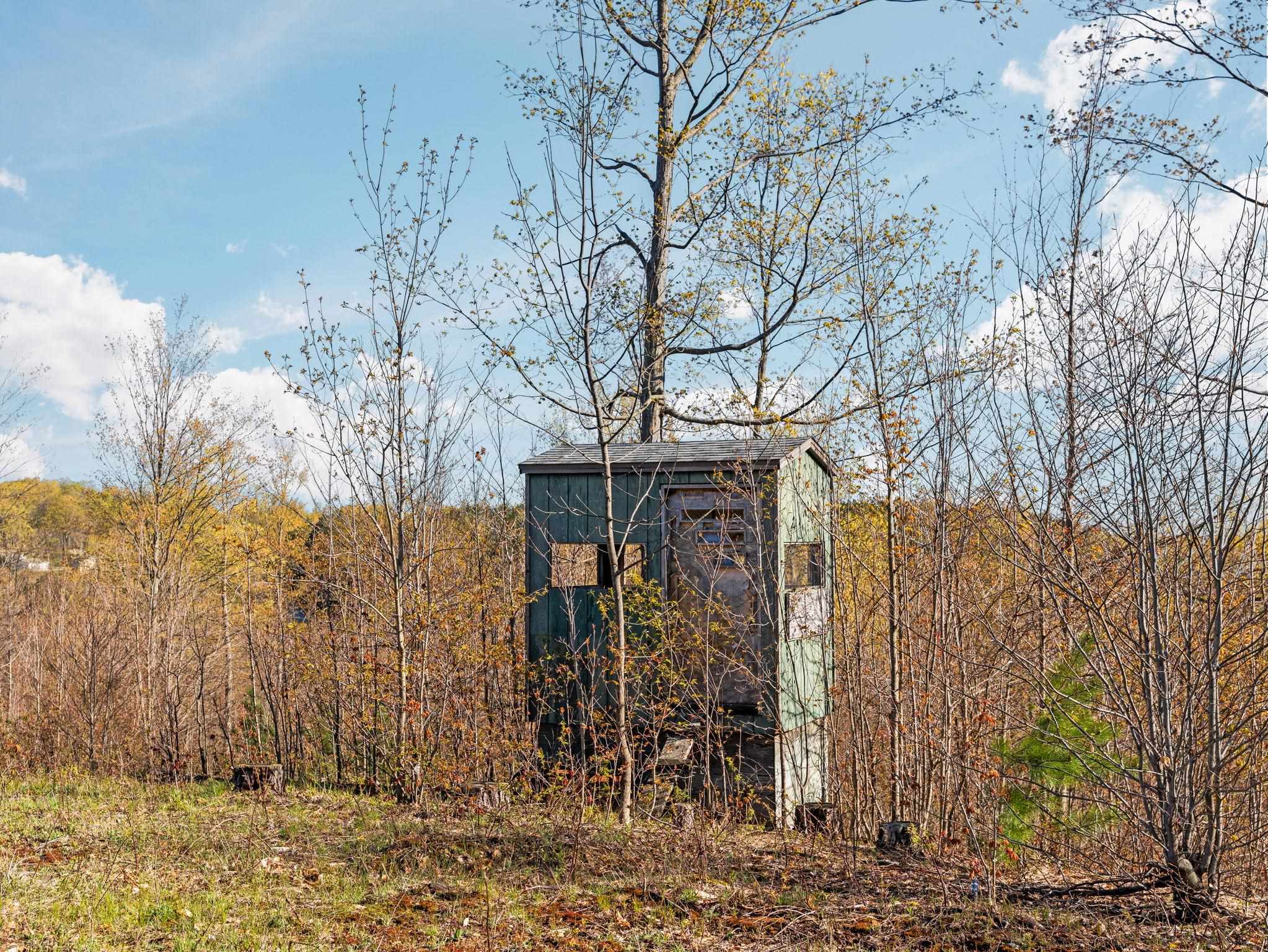0 East 20th Road, Unit NEAREST ADDRESS ACROSS T Mesick, MI 49668 - Photo 7 of 27