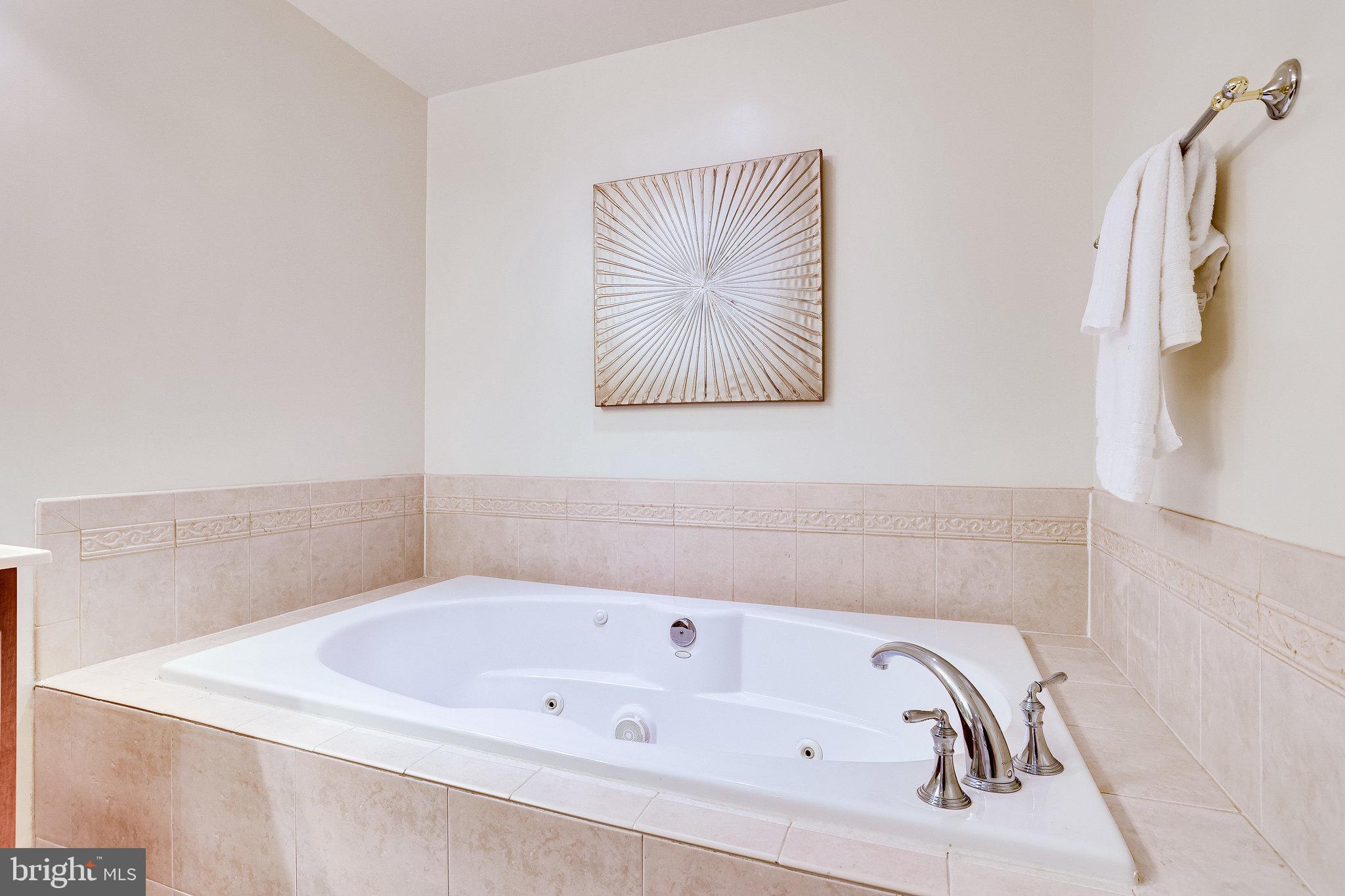1830 Fountain Drive, Unit 1008 Reston, VA 20190 - Photo 21 of 42 Soak your worries away in the jetted tub.