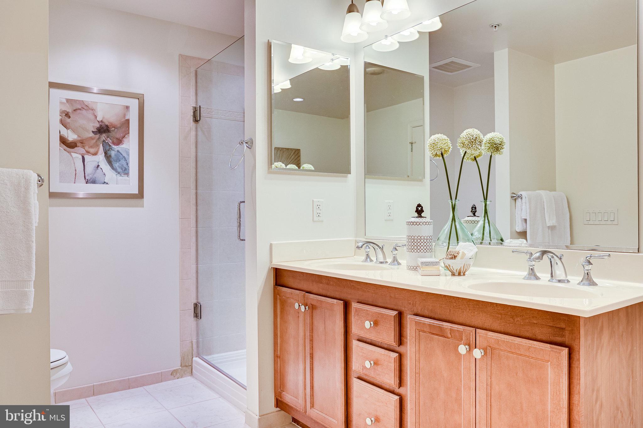 1830 Fountain Drive, Unit 1008 Reston, VA 20190 - Photo 22 of 42 Walk-in shower.