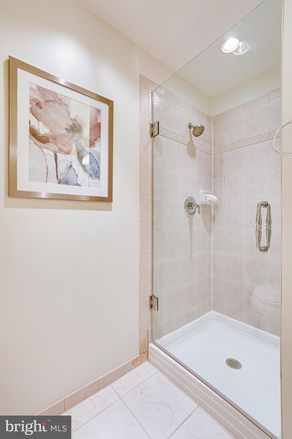 1830 Fountain Drive, Unit 1008 Reston, VA 20190 - Photo 23 of 42 Tile detail and floating shower door.