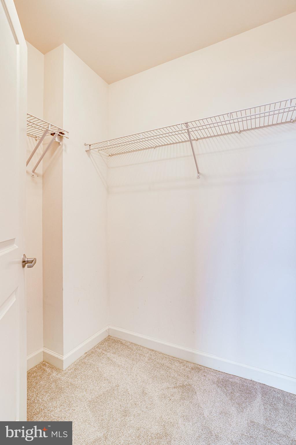 1830 Fountain Drive, Unit 1008 Reston, VA 20190 - Photo 30 of 42 Walk-in closet provides great storage space.