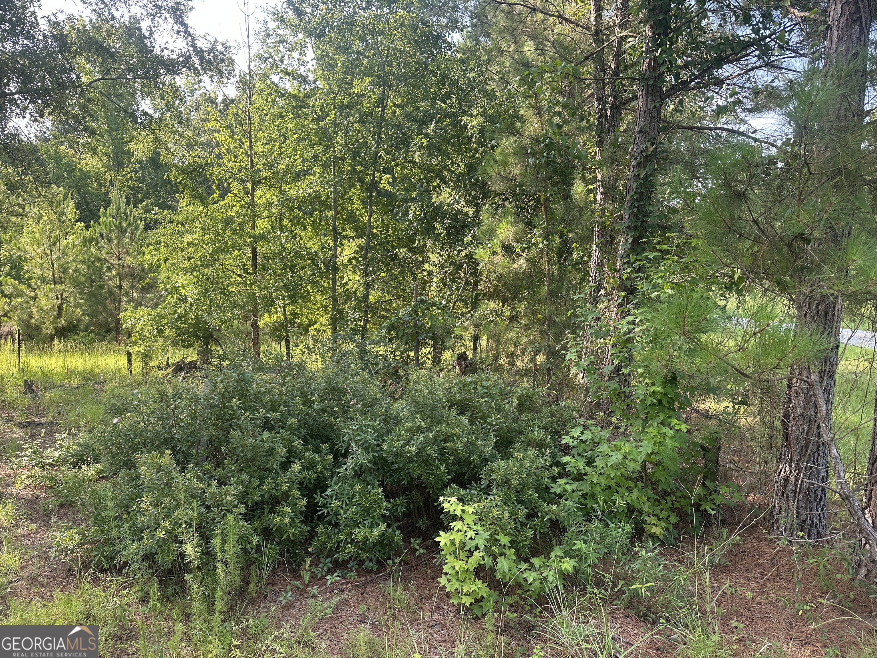 900 Habersham Church Road Waynesboro, GA 30830 - Photo 3 of 7