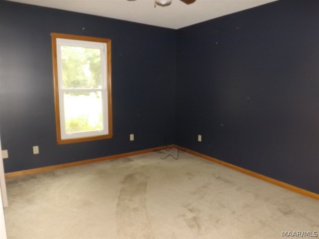 2371 Campground Road Ozark, AL 36360 - Photo 8 of 16 Gallery Image 8