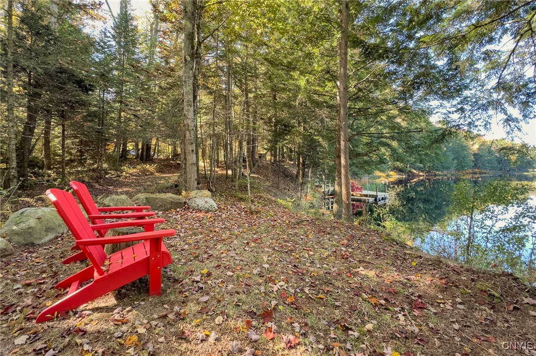 0 South Road Forestport, NY 13338 - Photo 11 of 29