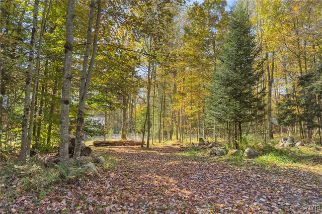 $275,000 | 0 South Road, Forestport, NY 13338