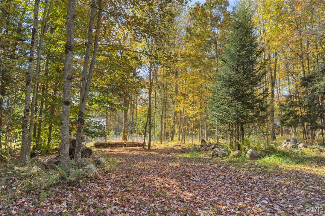 0 South Road Forestport, NY 13338 - Photo 23 of 29