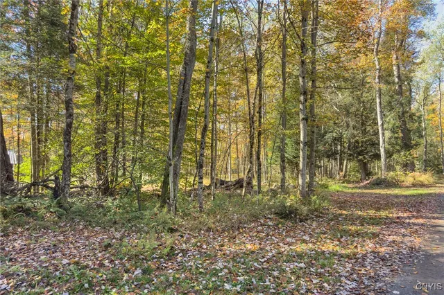 $275,000 | 0 South Road, Forestport, NY 13338