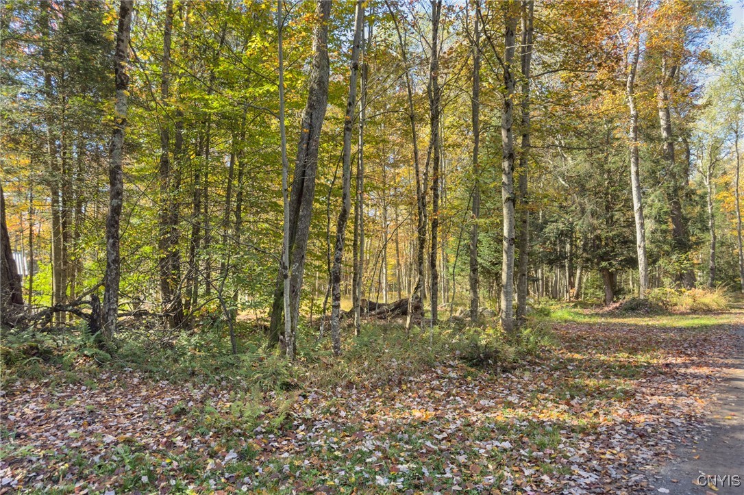 0 South Road Forestport, NY 13338 - Photo 25 of 29