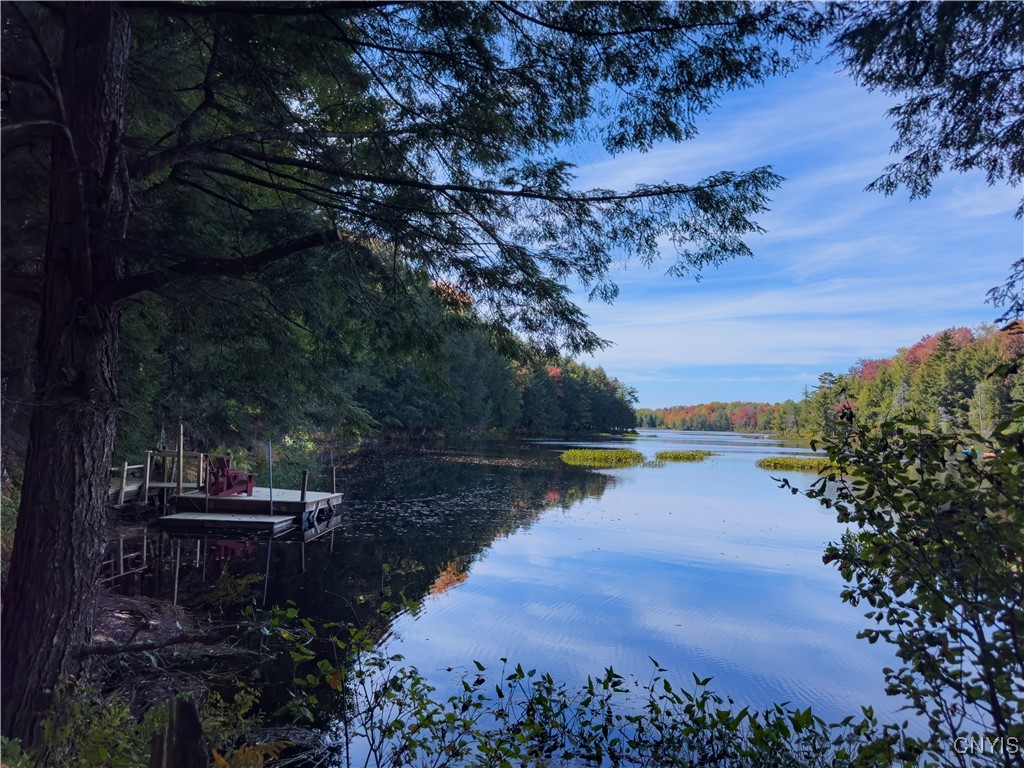 0 South Road Forestport, NY 13338 - Photo 9 of 29