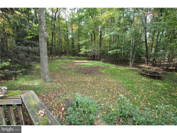323 Mt Laurel Road Mount Laurel, NJ 08054 - Photo 21 of 21 Back Yard