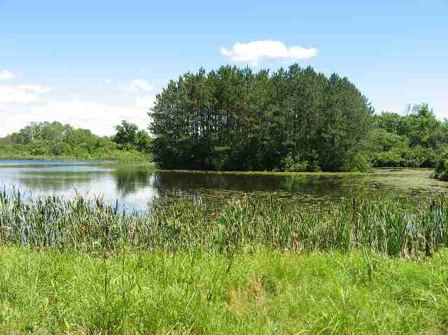 B Hart Road Amsterdam, NY 12010 - Photo 1 of 6 Photo 1