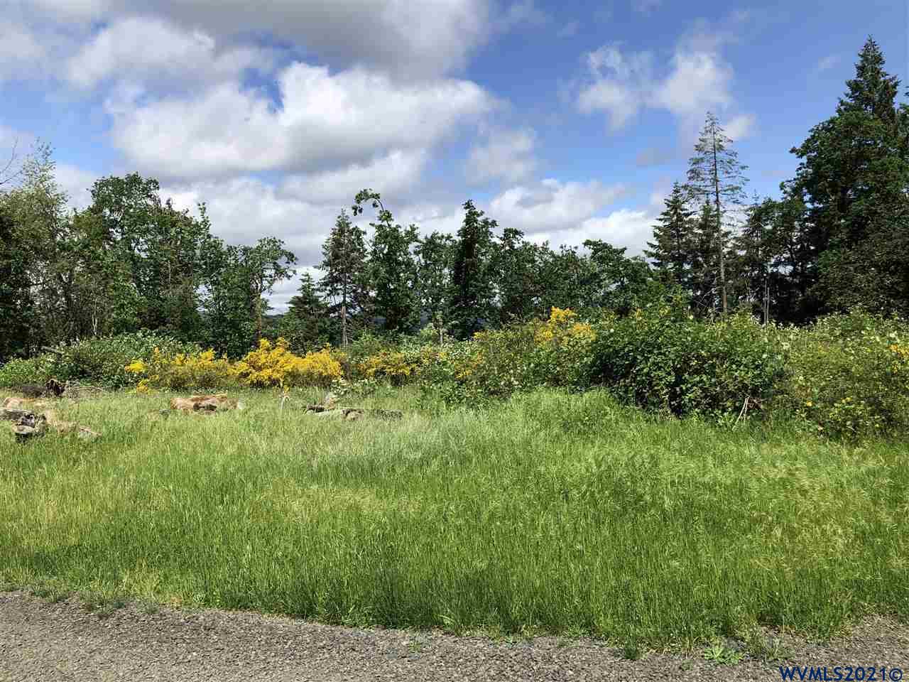Southwest Clay Street Dallas, OR 97338 - Photo 1 of 2