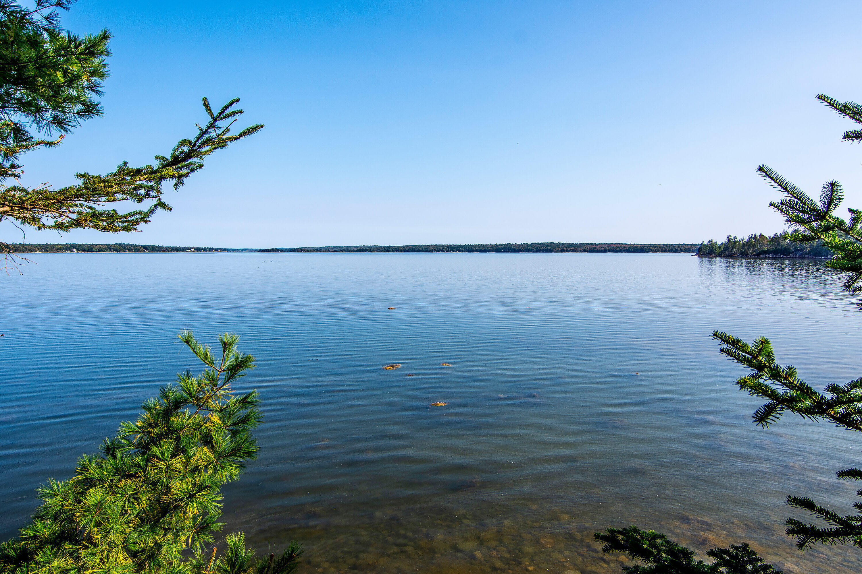 635 Paul Bunyan Road Corea, ME 04624 - Photo 28 of 33 635 Paul Bunyan water