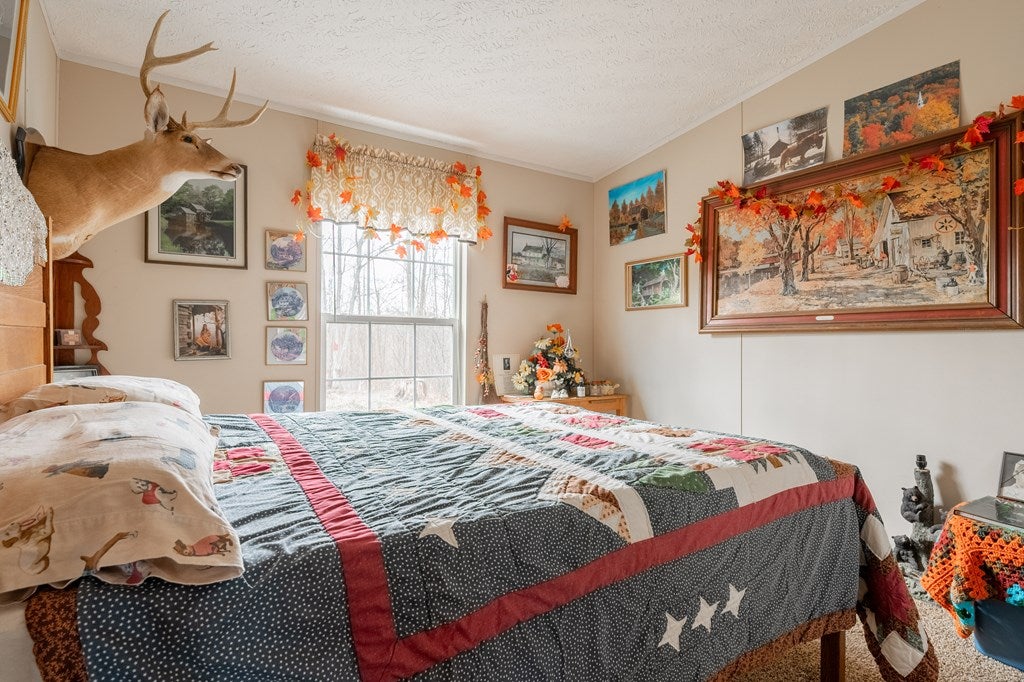823 Moccasin Ridge Road Lebanon, VA 24266 - Photo 36 of 69 Gallery Image 36