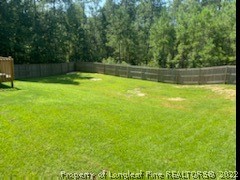 200 Pender Road Spring Lake, NC 28390 - Photo 7 of 9 a view of a yard