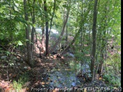 200 Pender Road Spring Lake, NC 28390 - Photo 8 of 9 a view of forest