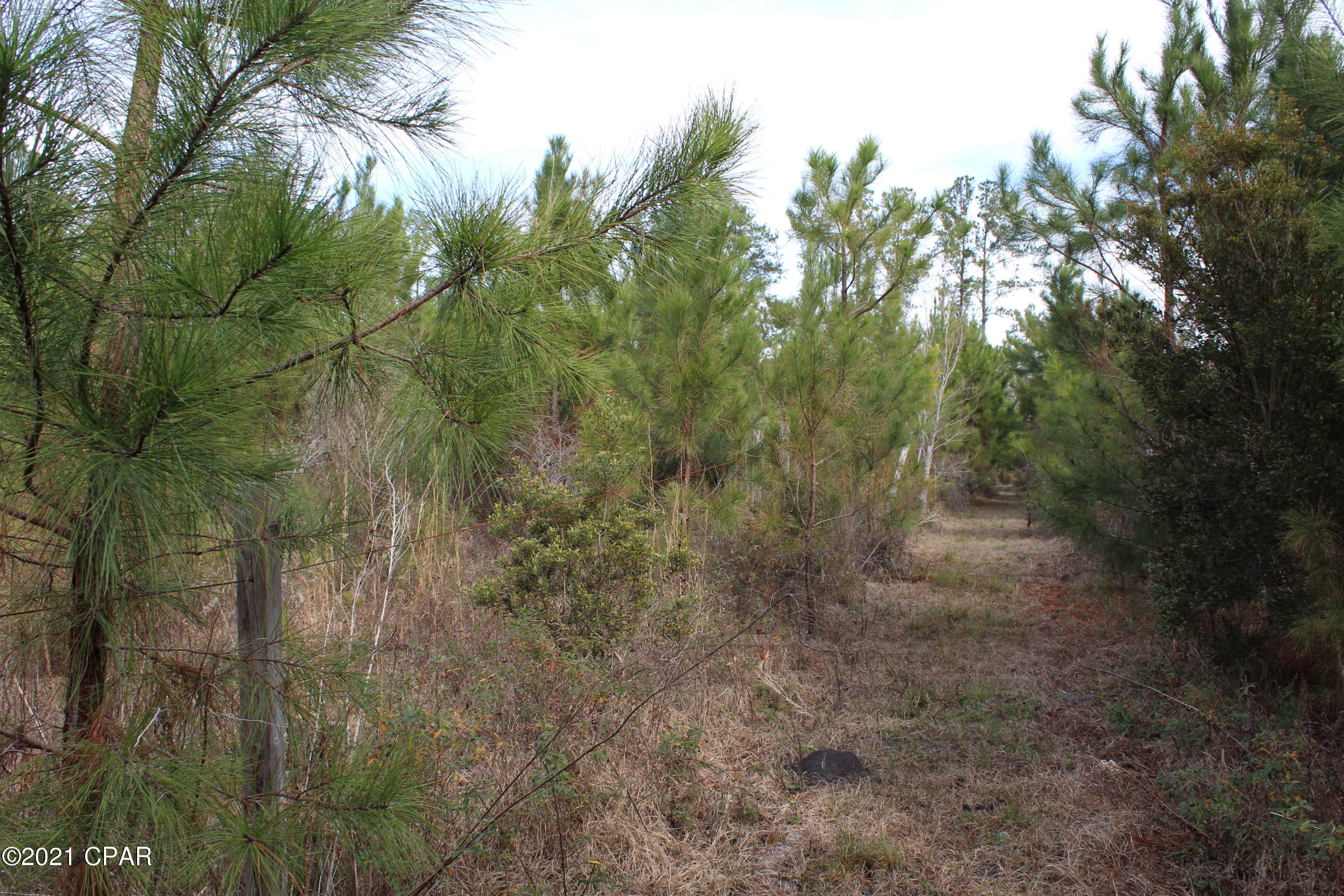 3525 Spool Mill Road Vernon, FL 32462 - Photo 51 of 54 Gallery Image 51