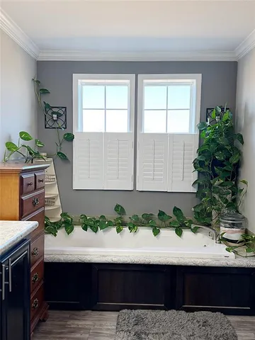 a table with a potted plant on a counter and sink