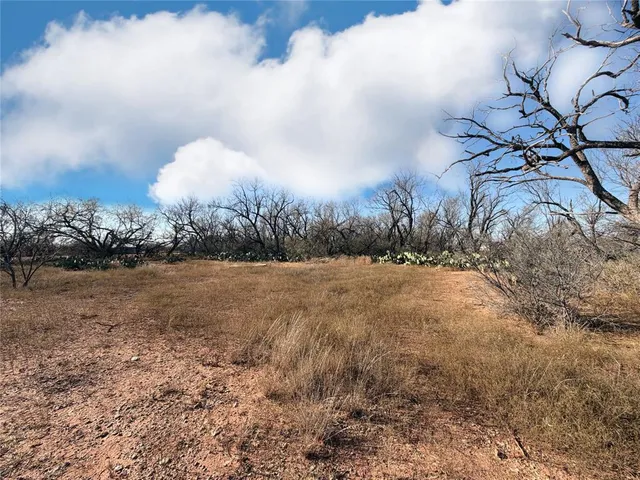 a view of large yard