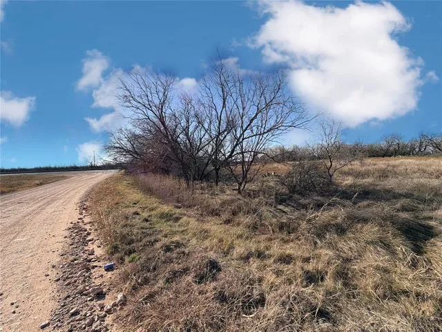 a view of dirt yard with a large tree
