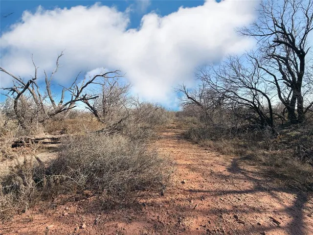 a backyard of a house