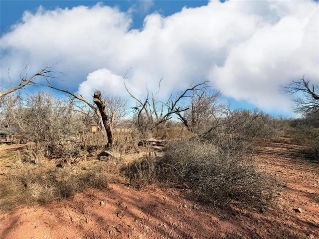 a view of a dry yard