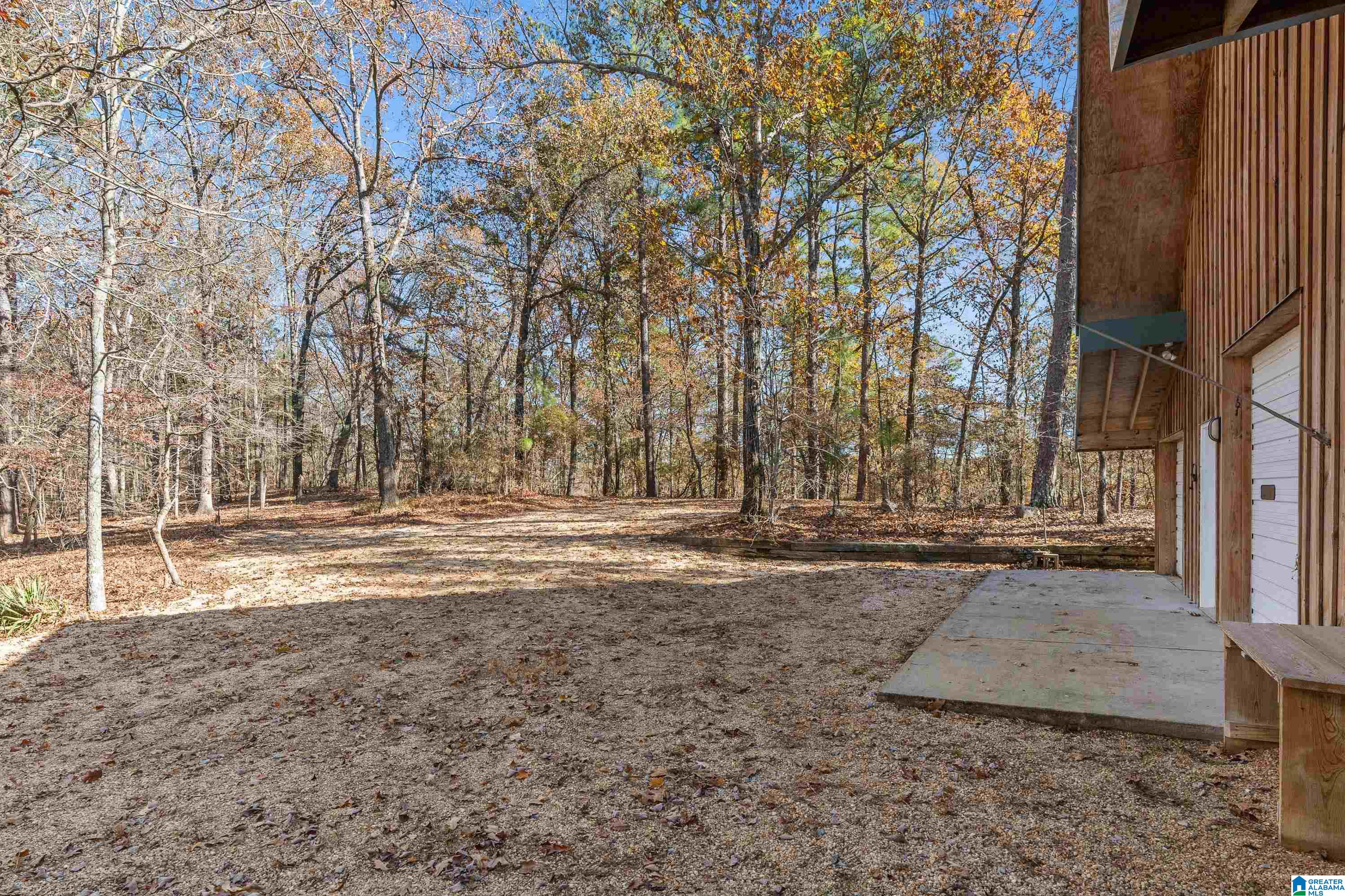 0 Pumpkin Hollow Road Sterrett, AL 35147 - Photo 39 of 55