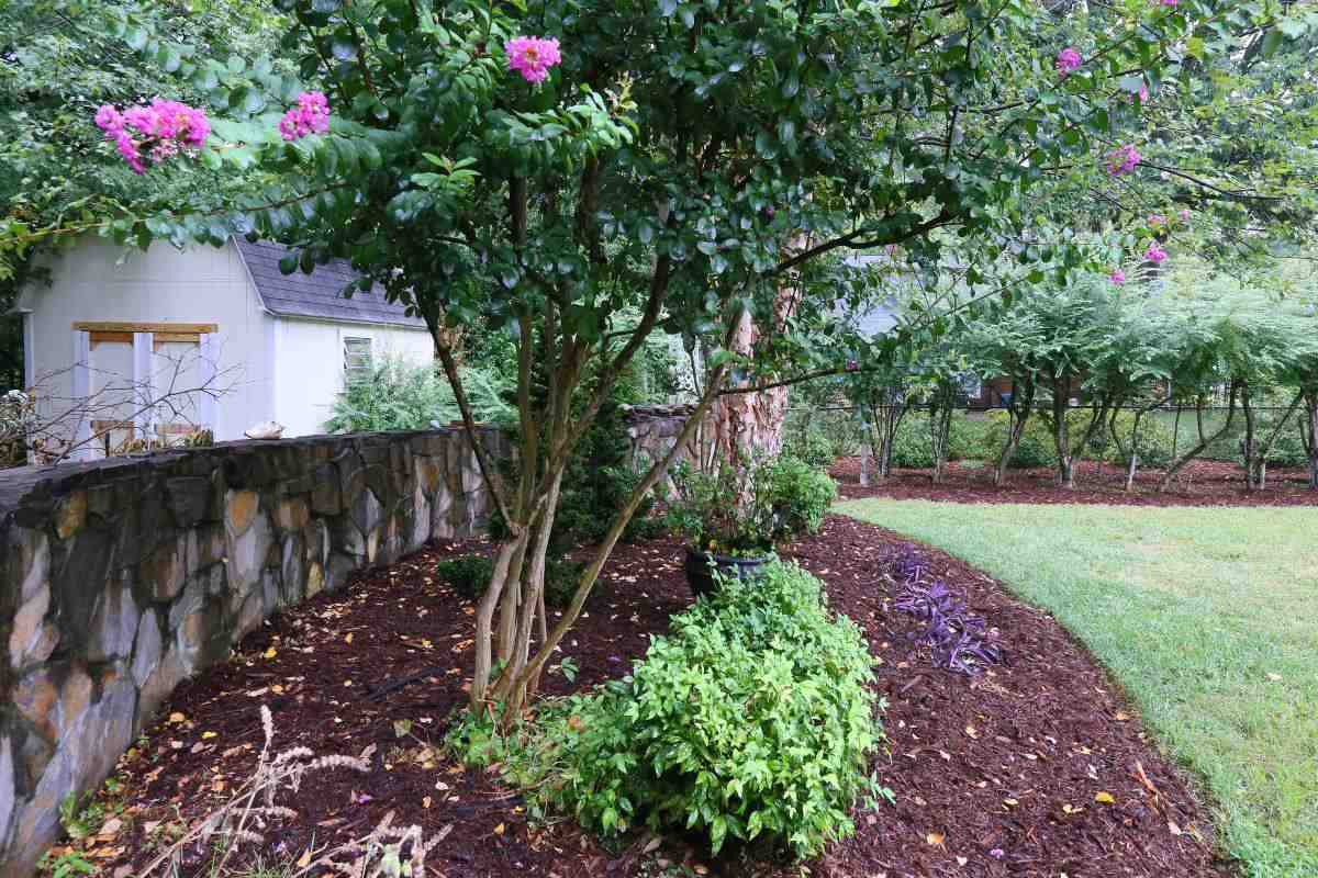 1013 Deerfield Road Raleigh, NC 27609 - Photo 17 of 25 A Backyard SHED!