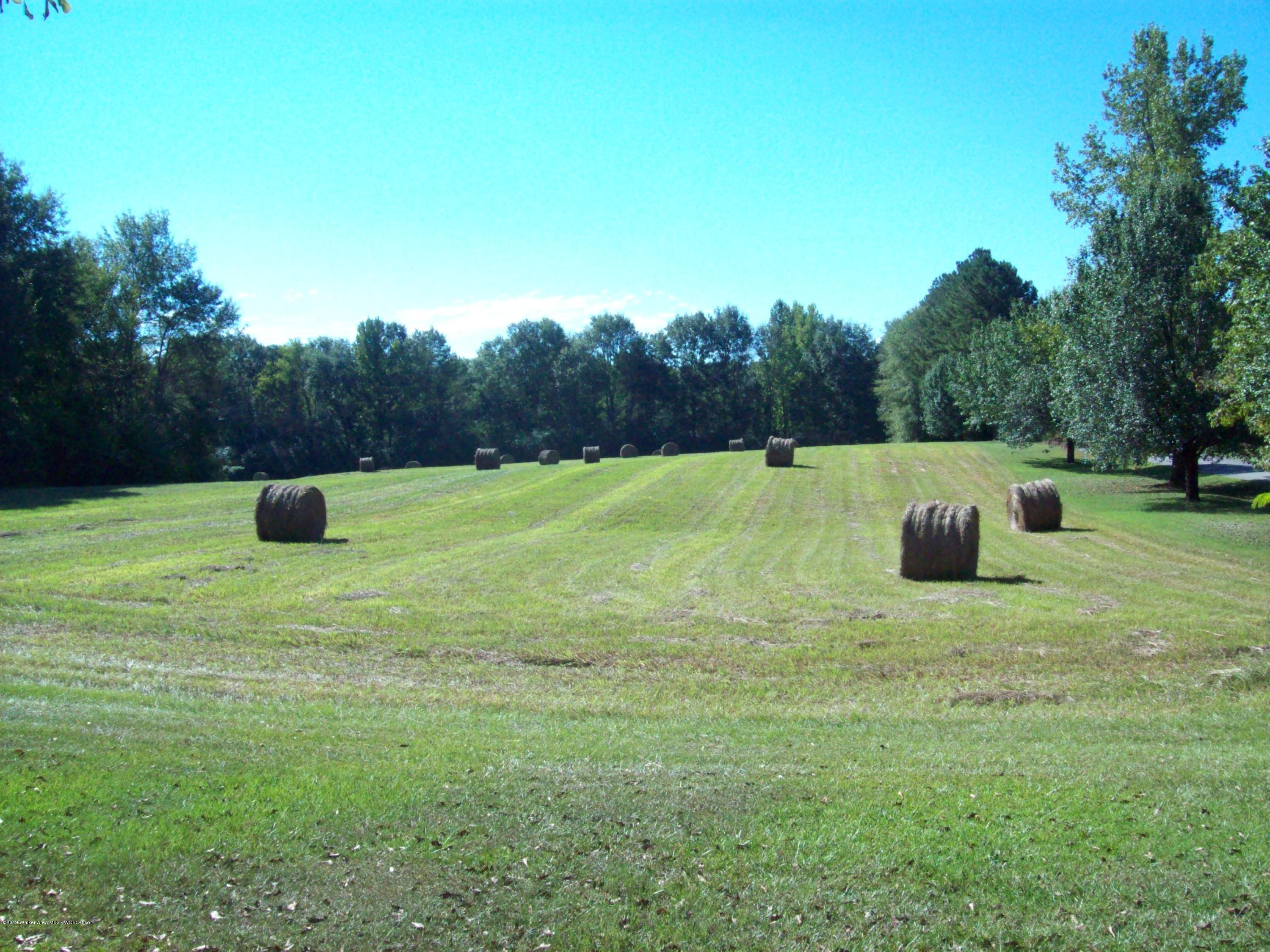 282 Sanders Road Jasper, AL 35504 - Photo 2 of 6 Gallery Image 2