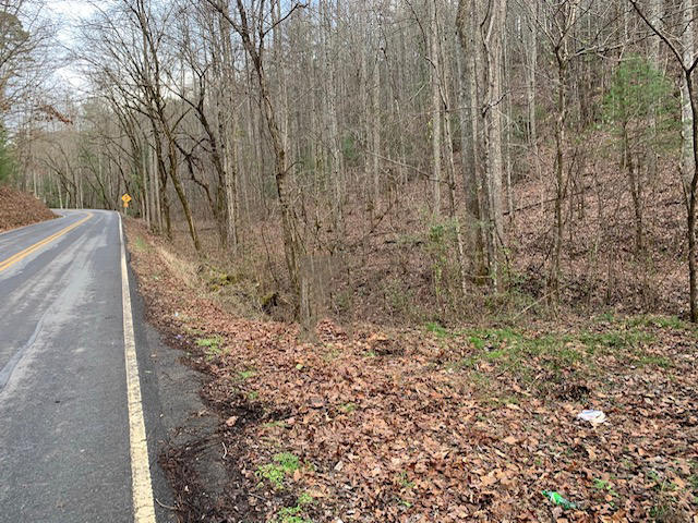 Lot 2 Tellico Reliance Road Reliance, TN 37369 - Photo 2 of 5 Parcel 2 18 acres