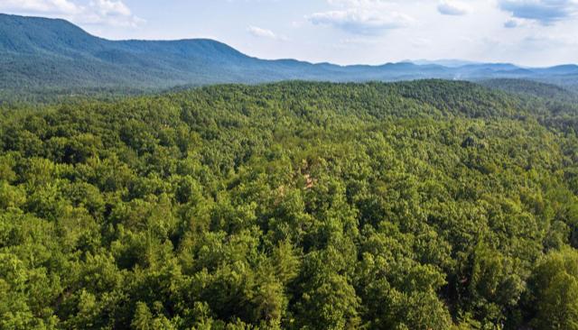 Lot 2 Tellico Reliance Road Reliance, TN 37369 - Photo 3 of 5 Tellico Reliance 3