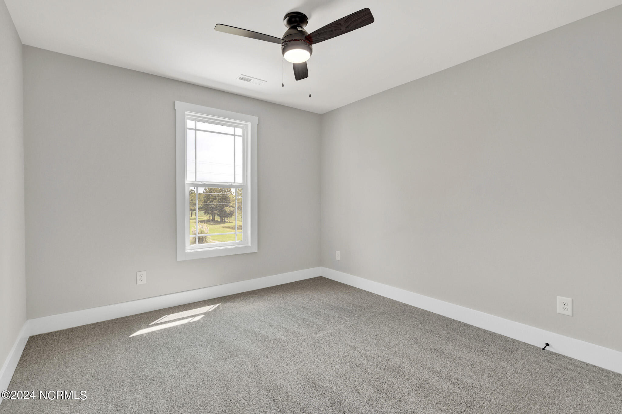247 North Horace Walters Road Raeford, NC 28376 - Photo 11 of 33 DSC09538