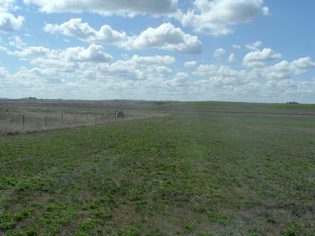 0 North Wood Road Reardan, WA 99029 - Photo 1 of 9