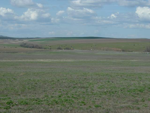 0 North Wood Road Reardan, WA 99029 - Photo 2 of 9