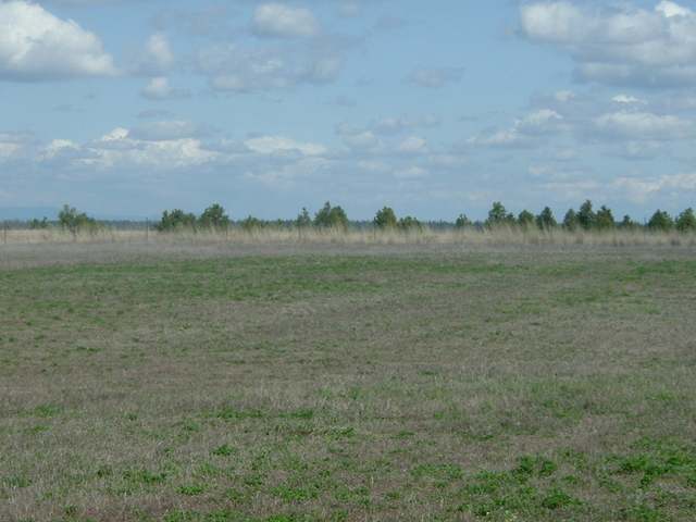 0 North Wood Road Reardan, WA 99029 - Photo 4 of 9