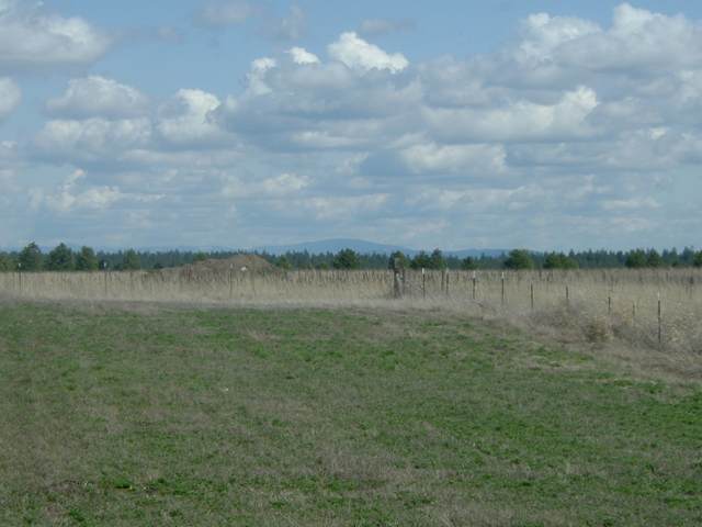 0 North Wood Road Reardan, WA 99029 - Photo 5 of 9