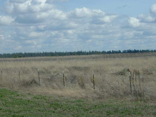 0 North Wood Road Reardan, WA 99029 - Photo 6 of 9