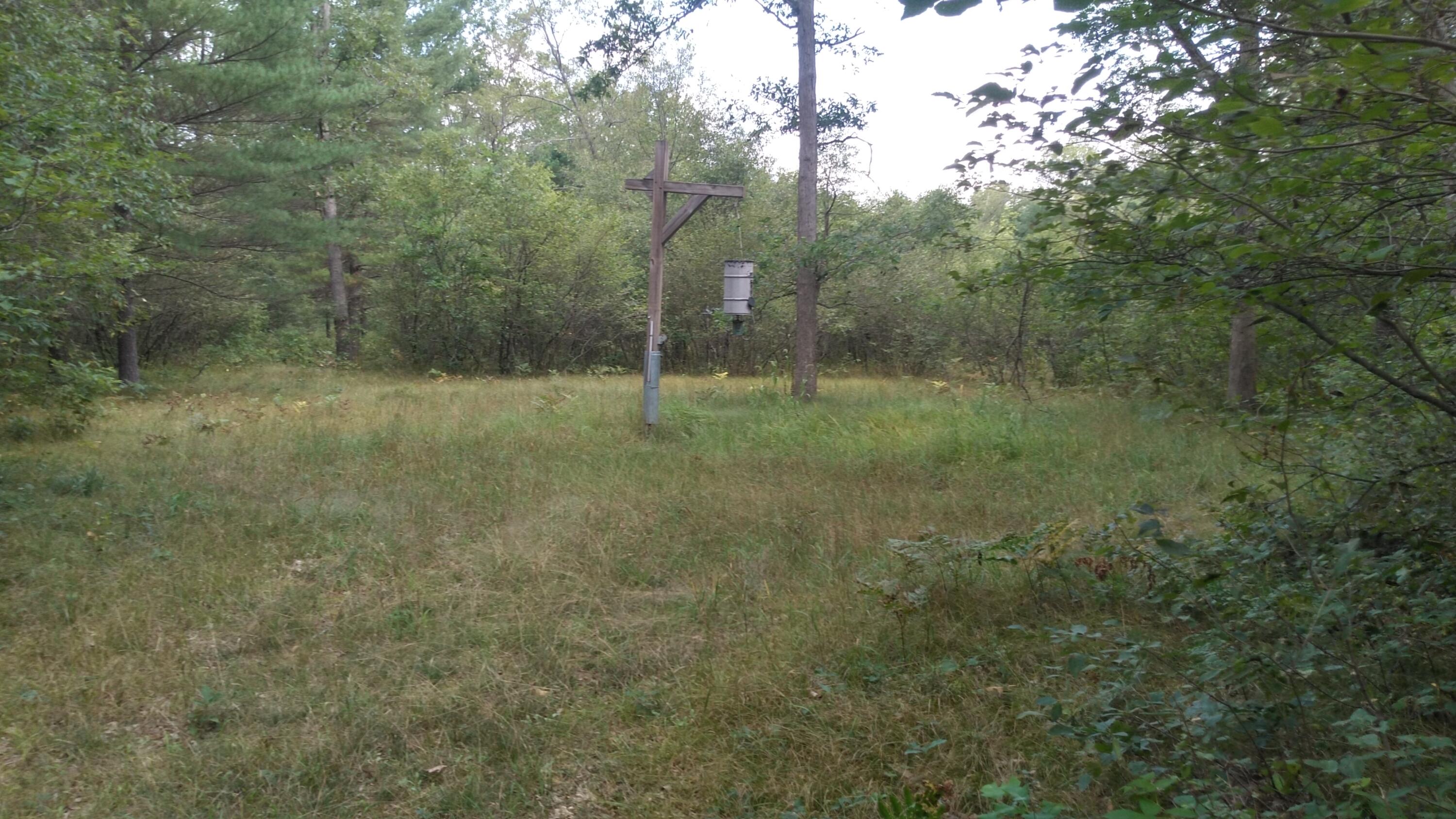 11443 Lorenson Road Montague, MI 49437 - Photo 3 of 6 Feeder