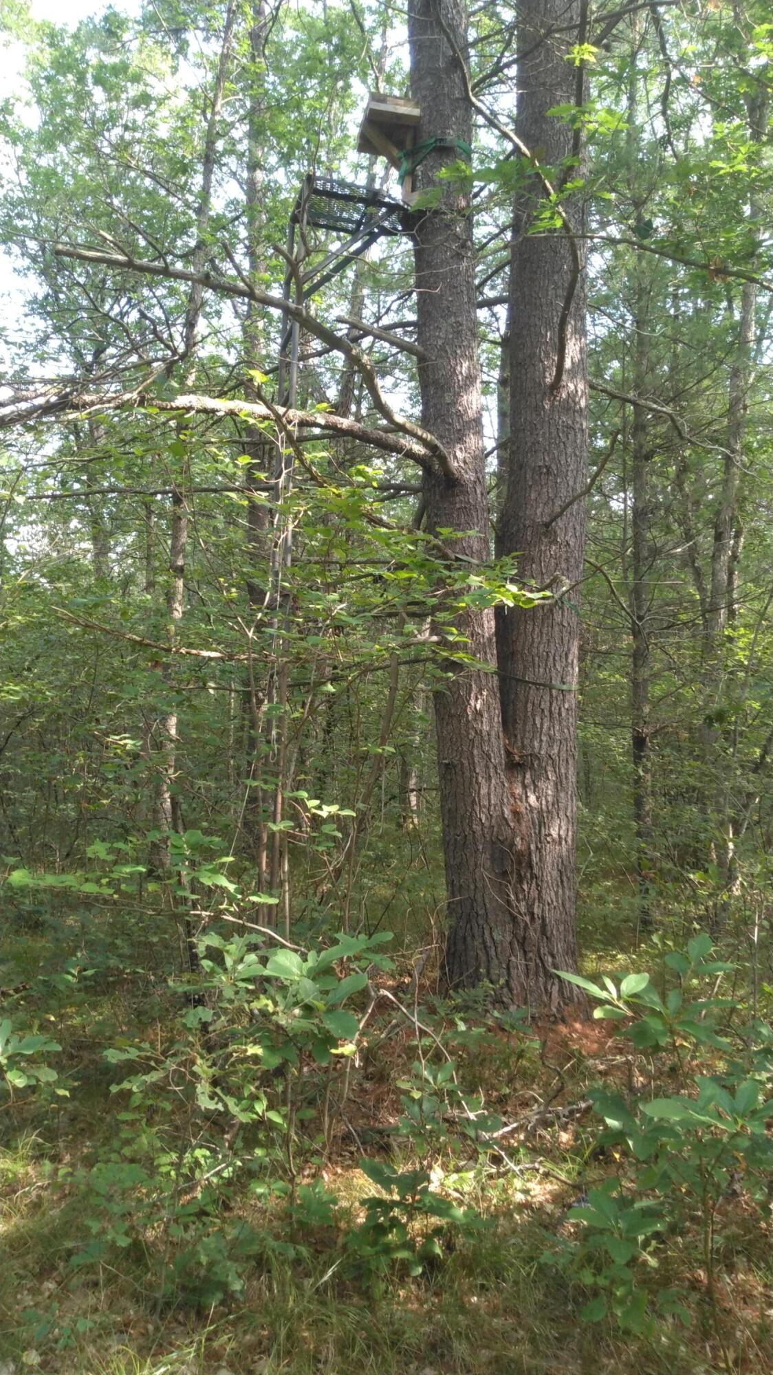 11443 Lorenson Road Montague, MI 49437 - Photo 6 of 6 Tree Stand
