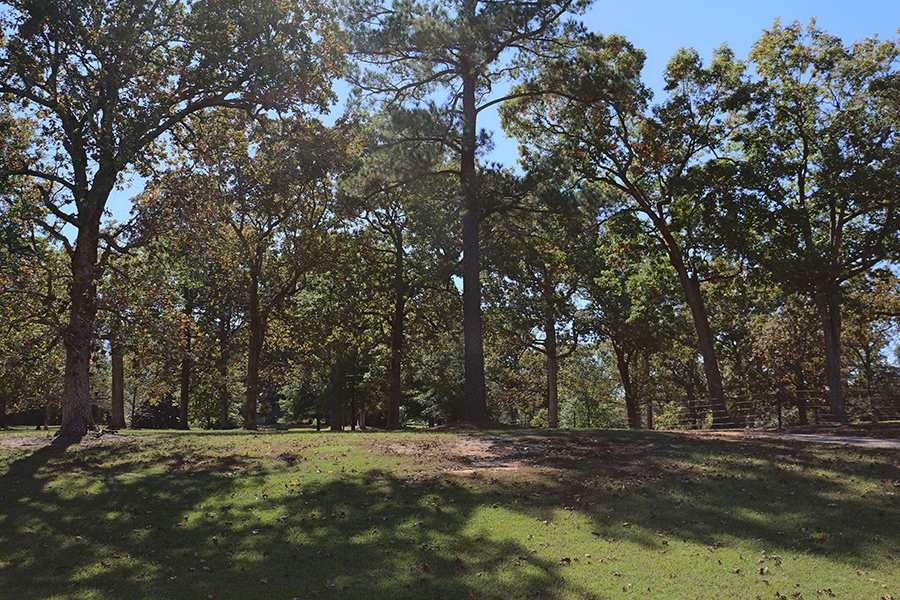 4301 Mial Plantation Road Raleigh, NC 27610 - Photo 15 of 25 Land/Lot