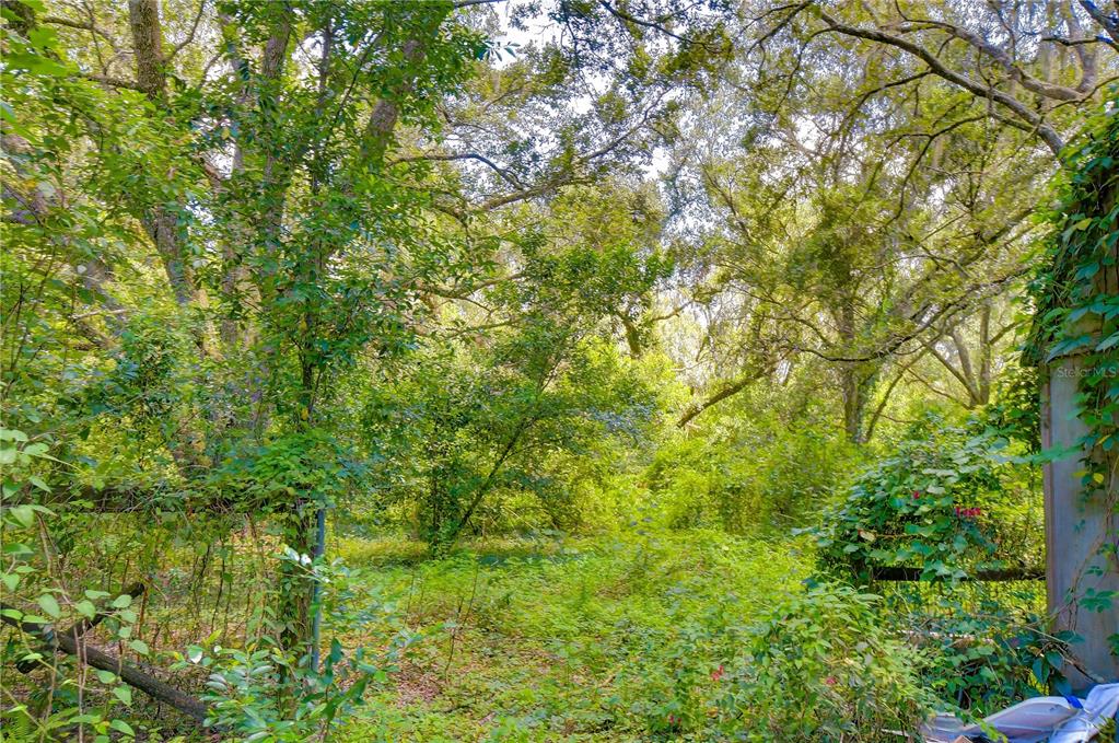 3801 Pate Road Zephyrhills, FL 33541 - Photo 39 of 63 Gallery Image 39