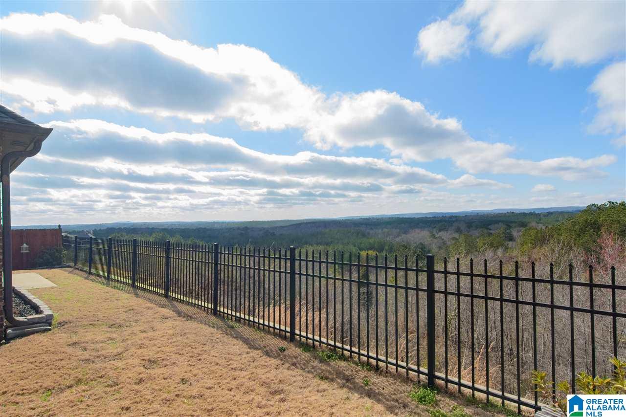 3079 Chelsea Park Ridge Chelsea, AL 35043 - Photo 41 of 45
