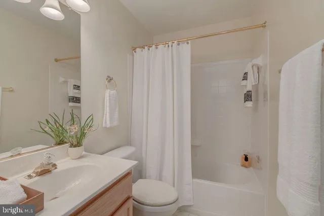 a bathroom with a sink a toilet a shower curtain and a mirror