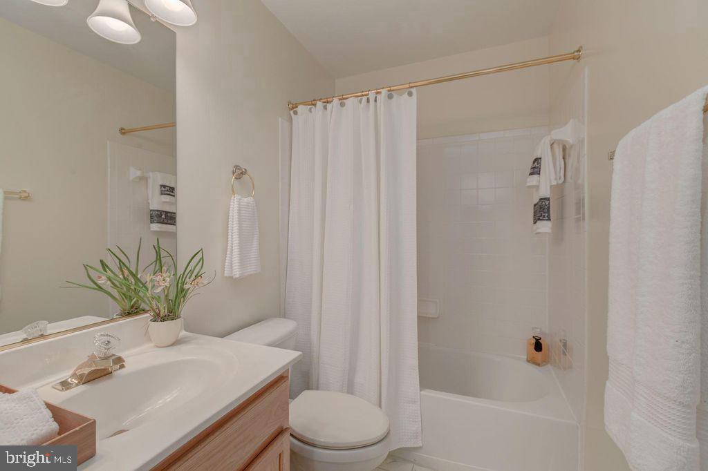 1618 South Taylor Street Arlington, VA 22204 - Photo 13 of 22 a bathroom with a sink a toilet a shower curtain and a mirror